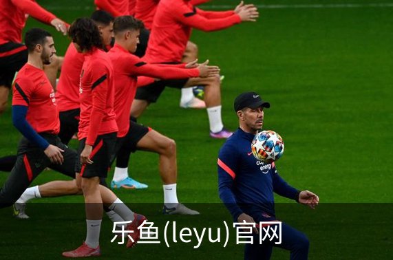 乐鱼(leyu)官网概况